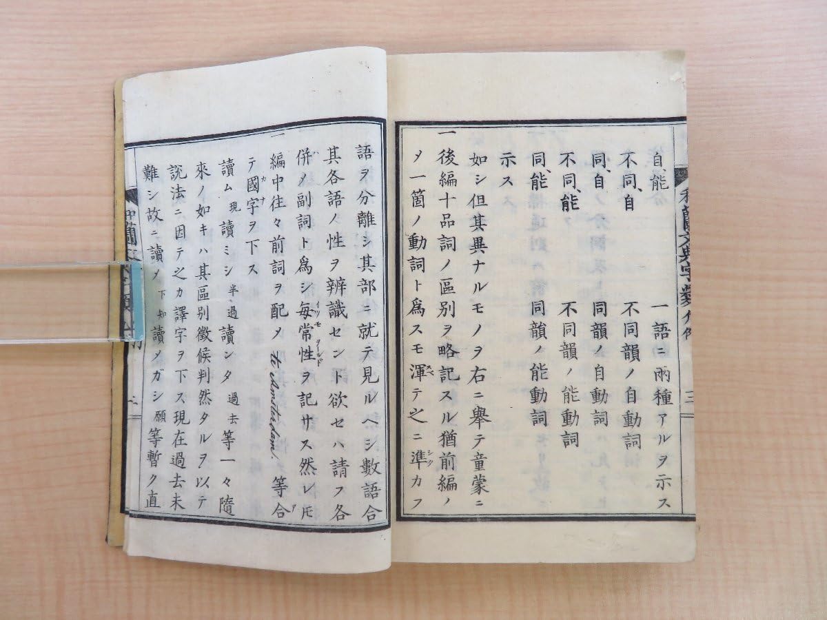 オランダ語 辞書 参考書5種 オランダ語をゼロから独学するための